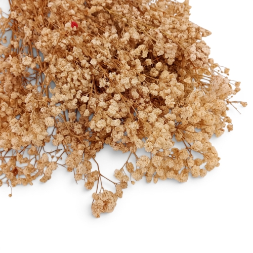 Stabilizowana gipsówka 1op naturalny jasny  (H2510282-3)