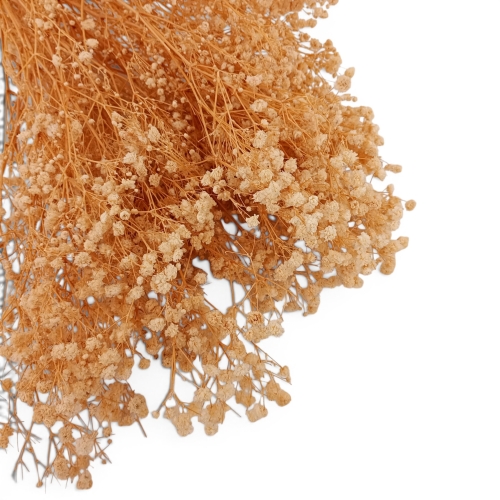 Stabilizowana gipsówka 1op słomkowy (H2510282-5)