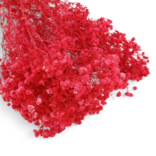 Stabilizowana gipsówka 1op czerwony (