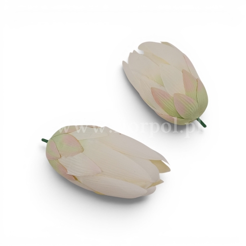 Karczoch 6szt ecru (KDGW88B)