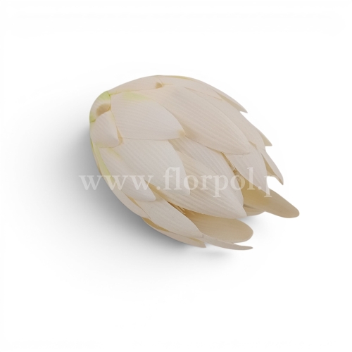 46ff6b06440589e8e7e675b233eac1d6