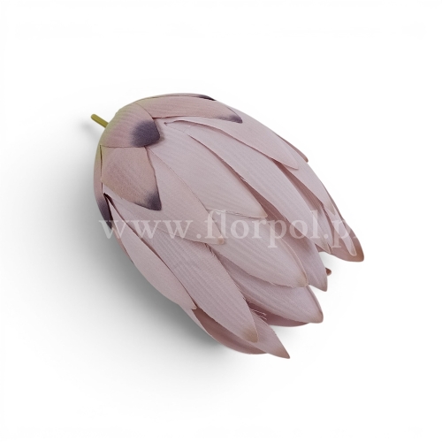 34e31525710c589d15ef56cbadf4b43a