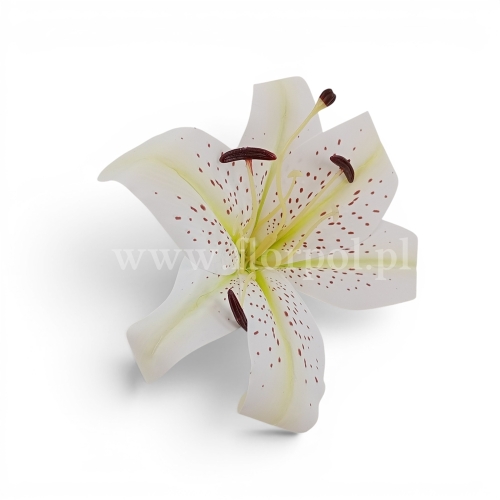 Lilia wyrobowa, ceratka 12szt biały/wanilia (KDG226)