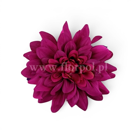Dalia otwarta 6szt fuksja (KDGW108)