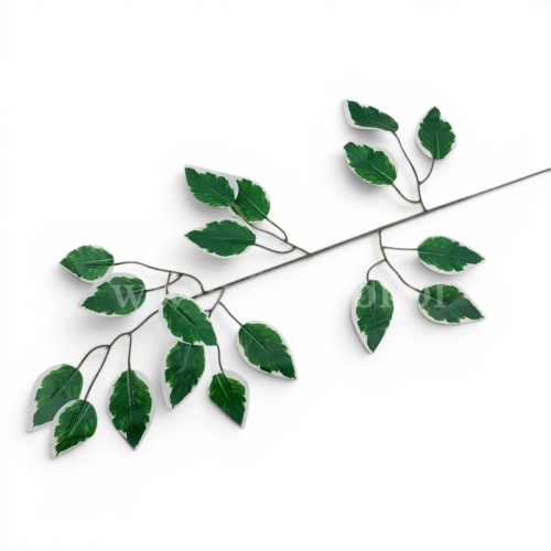 gałązka liście beniamina h 60cm 12szt zielony/biały (L218-2)