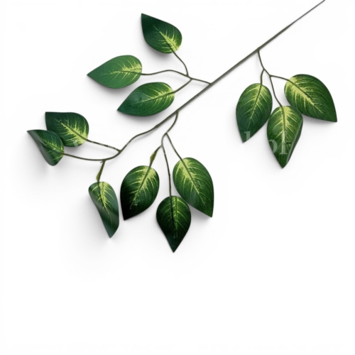 gałązka liście beniamina h 45cm 12szt ciemna zieleń/jasna zieleń (L212-7)