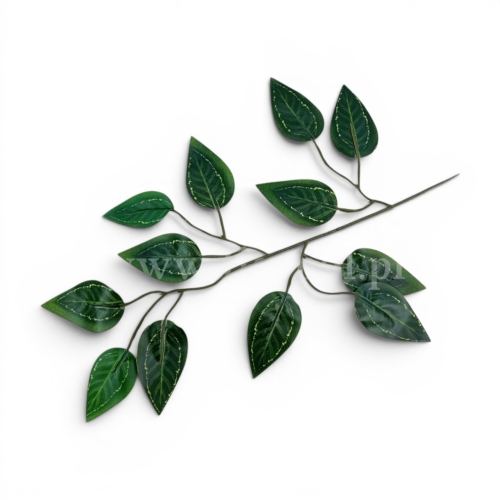 gałązka liście beniamina h 45cm 12szt ciemna zieleń//blaszka jak difenbachia (L212-5)