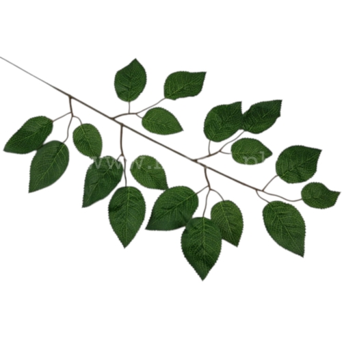 Gałązka –błyszczące liście róży 12szt zielony (L1007A)