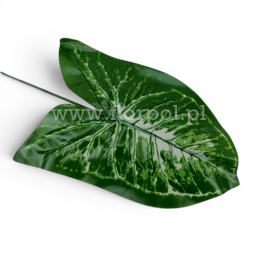 liść strzałka wodna szerokolistna 12szt zieleń/ecru (CFIJ-2)