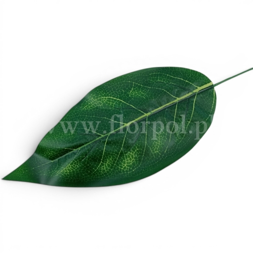 sztuczny liść 12szt c.zieleń (FCBJ-009)