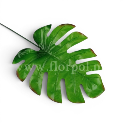 lisć monstera 12szt j.zieleń/brązowy cień (F68-40)