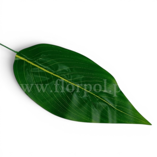 liść sztuczny 12szt zielony w pasy (OY-5H)