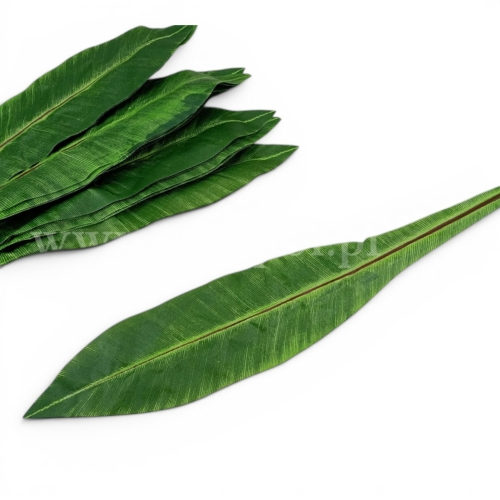 szeroki liść bananowca 12szt odc.zieleni