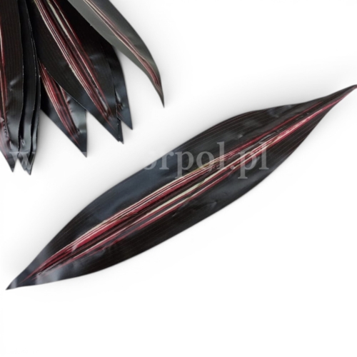 kordylina liść - cerata 12szt karmin/ecru