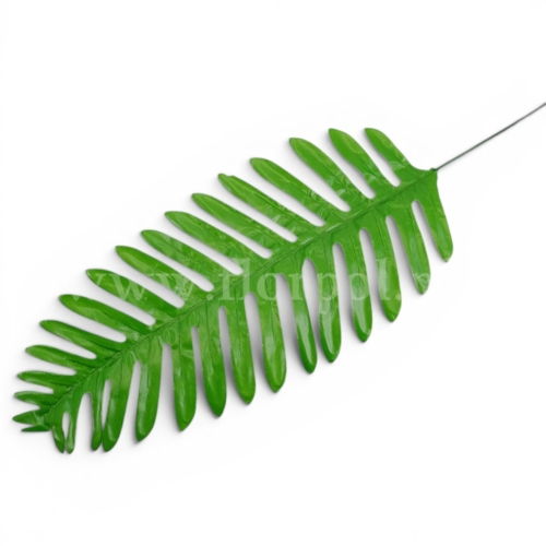 liść paproci szeroki  12szt jasna zieleń
