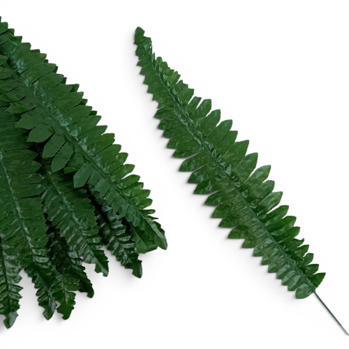 paproć liść – mniejszy 12szt ciemna zieleń
