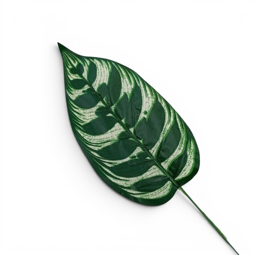 kalatea liść 12szt zielony/ecru (CF1-033J)