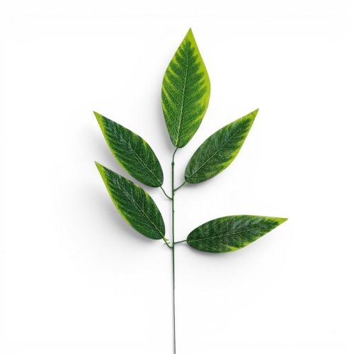 Gałązka – liście mango 12szt zielony/jasnozielone brzegi (E1/5)