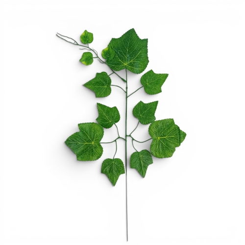 Gałązka – liście winorośli z wąsem 12szt  ciemna zieleń/jasne żyłkowanie (K15-1/9)
