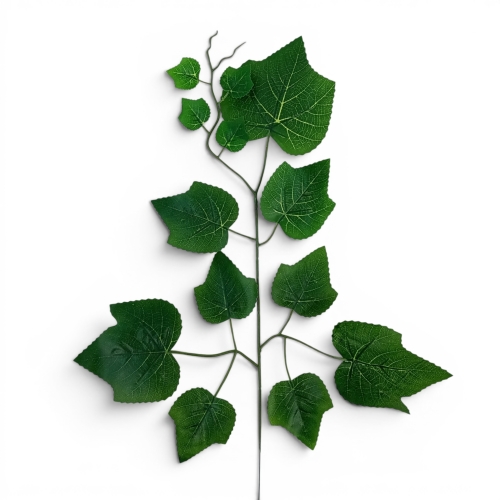 liście winorośli - gałązka cerata 12szt c.zielony (L11-1/9)