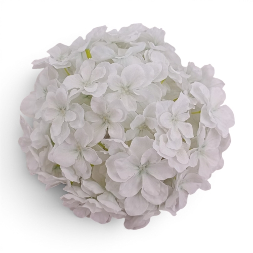 hortensja olbrzymia wyrobowa 1szt #9 polarna biel (CHQ07)