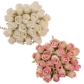 1d91af64bcb50307ebe0de8de2a6daa3