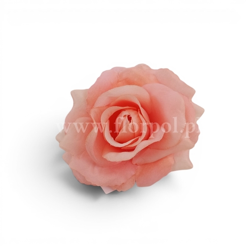 abd896c06aa3d31ed55b0446c458e569