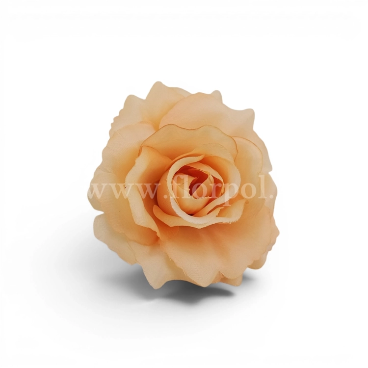 afec49a28db4020b7880cee8d19aca78