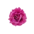 Róża wyrobowa otwarta Sonia 12szt #XYPV314 DK.FUCHSIA