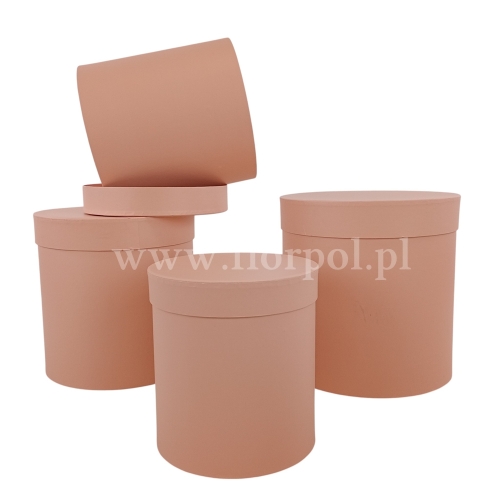 Ogrągły box XXL kpl 5szt morela (H2404309)