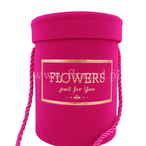 flower box 13711.jpg