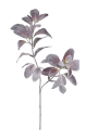 ART277##POWDER MAUVE#1_m.jpg