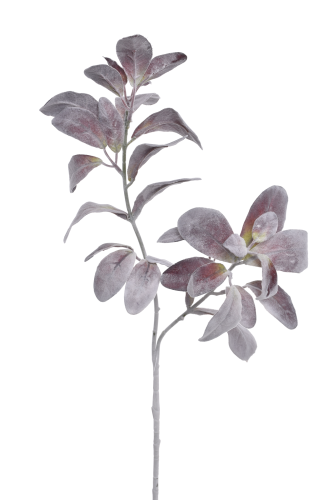 Starzec gałązka POWDER MAUVE (ART277) 