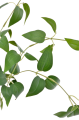 SUN350##GREEN#2_m.jpg