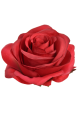 SUN385#1643#RED_m.jpg
