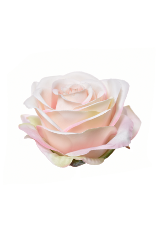 SUN385#3064#APRICOT CREAM_m.jpg