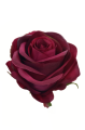 SUN385#3003#BURGUNDY GREEN_m.jpg