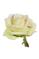 SUN385#1960#LT GREEN EDGE PINK_m.jpg