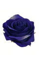SUN385#2255#PRUSSIAN BLUE_m.jpg