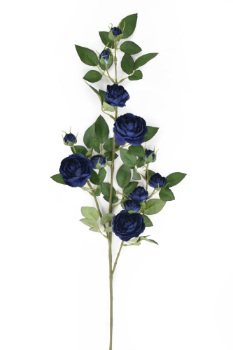 SUN663#2263#NAVY BLUE_m.jpg