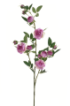 SUN663#2544#PINK EDGE PINK_m.jpg