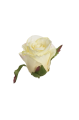 SUN412#1649#VANILLA#2_m.jpg