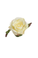 SUN412#1649#VANILLA#1_m.jpg