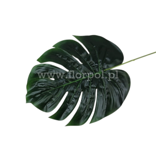 liść monstera 12szt zielony (L1019P)