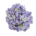 sztuczne kwiaty florpol.pl 13790.jpg