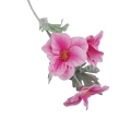 sztuczne kwiaty florpol.pl 13778.jpg