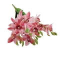 sztuczne kwiaty florpol.pl 13773.jpg