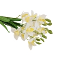 sztuczne kwiaty florpol.pl 13774.jpg