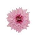 sztuczne kwiaty florpol.pl 13735.jpg