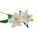 sztuczne kwiaty florpol.pl 13727.jpg